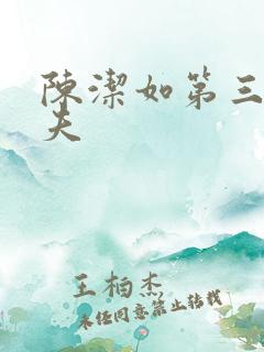 陈洁如第三任丈夫