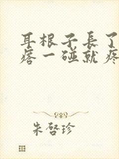 耳根子长了个疙瘩一碰就疼