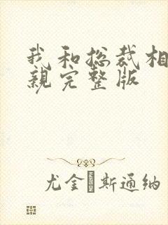 我和总裁相了个亲完整版