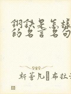 钢铁是怎样炼成的名言名句名段