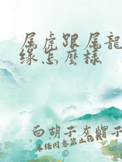 属虎跟属龙的姻缘怎么样