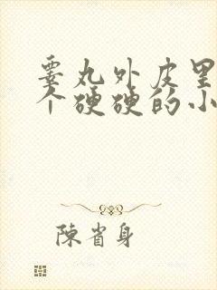 睾丸外皮里面有个硬硬的小疙瘩