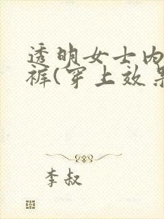 透明女士内衣内裤(穿上效果)