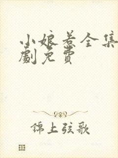 小娘惹全集电视剧免费