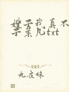 嫂子我真不是傻子叶凡txt