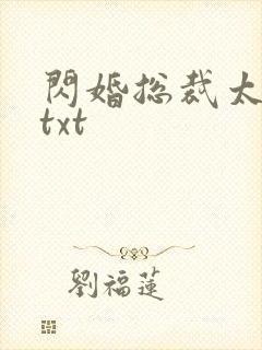 闪婚总裁太霸道txt