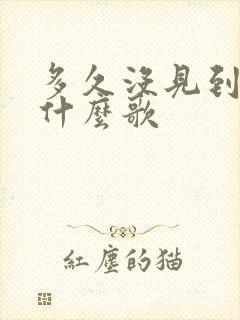 多久没见到你是什么歌