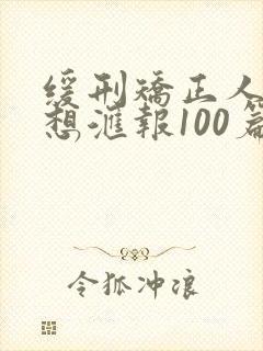 缓刑矫正人员思想汇报100篇300字