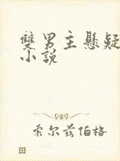 双男主悬疑推理小说