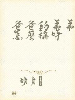 爸爸的弟弟老婆怎么称呼