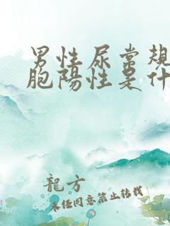 男性尿常规白细胞阳性是什么意思