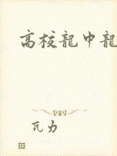 高校龙中龙
