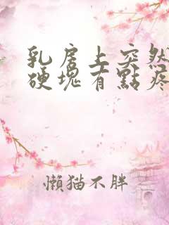 乳房上突然有个硬块有点疼