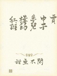 红楼梦中贾芸是谁的儿子