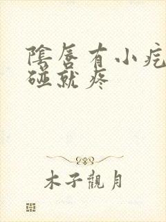 阴唇有小疙瘩一碰就疼