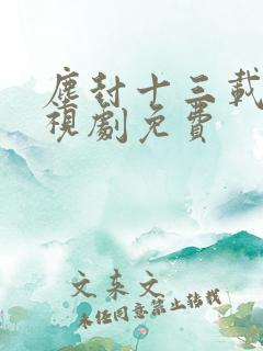 尘封十三载 电视剧免费