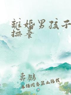 离婚男孩子归谁抚养