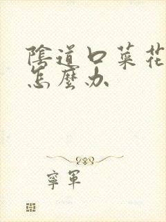 阴道口菜花状疣怎么办