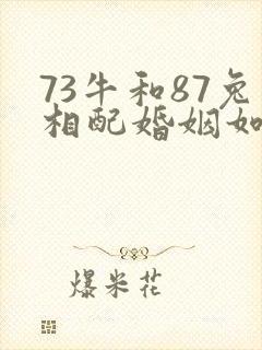 73牛和87兔相配婚姻如何
