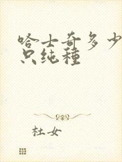 哈士奇多少钱一只纯种