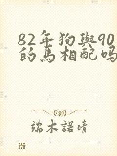 82年狗与90的马相配吗