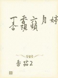 丁香六月婷婷综合视频