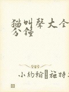 猫叫声大全40分钟