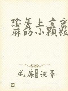 阴唇上有密密麻麻的小颗粒