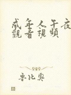 成年人午夜免费观看视频