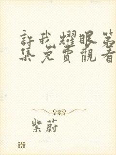 许我耀眼第10集免费观看全集