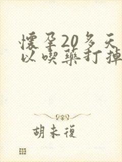 怀孕20多天可以吃药打掉