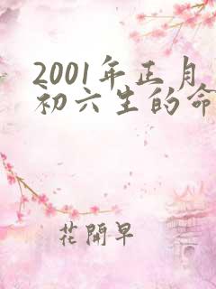 2001年正月初六生的命运