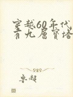 穿越60年代我有九层宝塔空间短剧