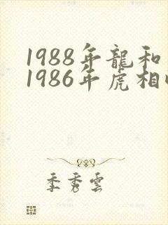 1988年龙和1986年虎相配吗
