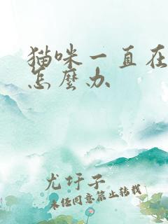 猫咪一直在滴尿怎么办