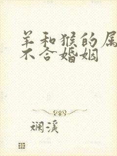 羊和猴的属相合不合婚姻