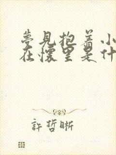 梦见抱着小男孩在怀里是什么预兆