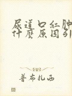 尿道口红肿痒是什么原因引起的