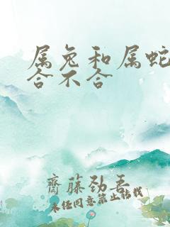 属兔和属蛇生肖合不合