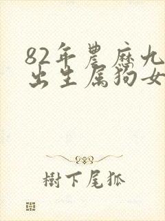 82年农历九月出生属狗女命运