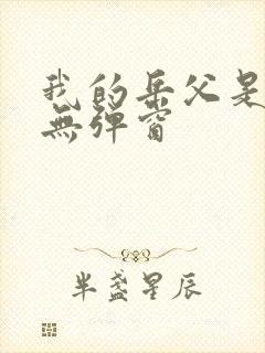 我的岳父是崇祯无弹窗