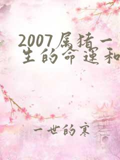 2007属猪一生的命运和婚姻