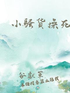 小骚货操死我了