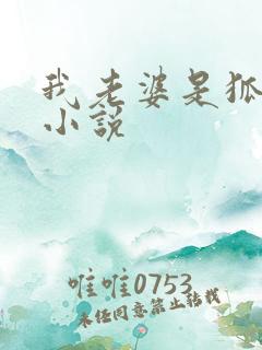 我老婆是狐狸精小说