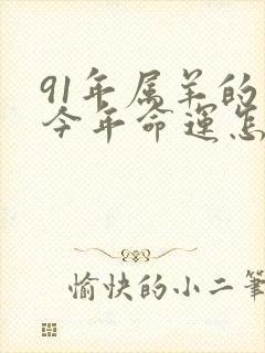 91年属羊的人今年命运怎么样