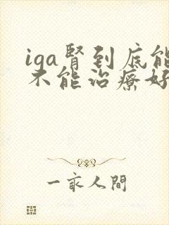 iga肾到底能不能治疗好呢