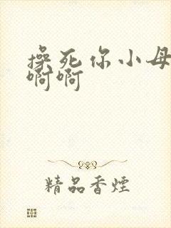 操死你小母狗啊啊啊