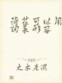 荷花可以用什么词来形容