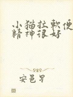 小猫拉软便但是精神很好