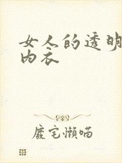 女人的透明内裤内衣